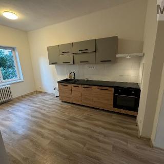 Pronájem bytu 1+1 39 m² Chomutov