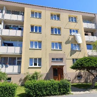 Prodej bytu 2+1 52 m² Duchcov, Zahradnictví