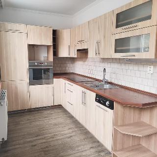 Pronájem bytu 2+1 50 m² Duchcov, Teplická