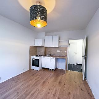 Prodej bytu 1+1 62 m² Duchcov, Vrchlického