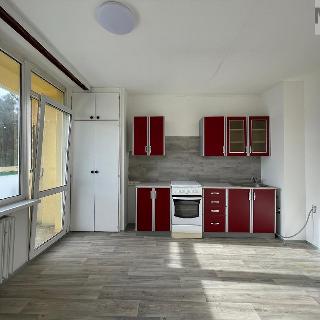 Pronájem bytu 1+1 45 m² Bílina, Sídliště Za Chlumem