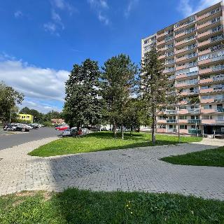 Prodej bytu 2+1 55 m² Duchcov, Vrchlického