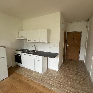 Prodej bytu 1+1 34 m² Most, Marš. Rybalka