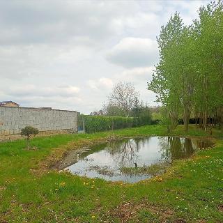 Prodej stavební parcely 4697 m² Otvice