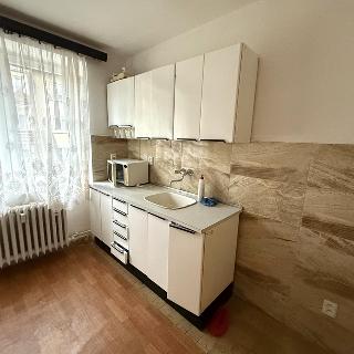 Pronájem bytu 2+1 59 m² Litvínov, U Zámeckého parku