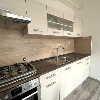 Pronájem bytu 3+1 58 m² Teplice, Krajní