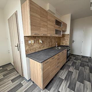 Pronájem bytu 3+1 66 m&sup2; Bílina