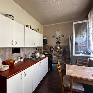 Prodej bytu 2+1 56 m² Bílina, M. Švabinského