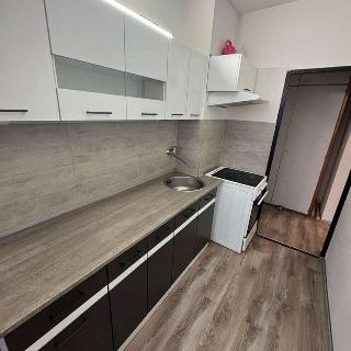 Prodej bytu 3+1 71 m² Ústí nad Labem, Sibiřská