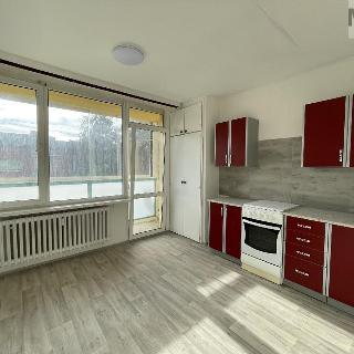 Pronájem bytu 1+1 45 m² Bílina, Sídliště Za Chlumem