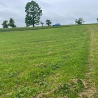 Prodej zemědělské půdy 33 045 m² Starý Jičín Palačov