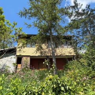 Prodej zahrady 406 m² Koštice
