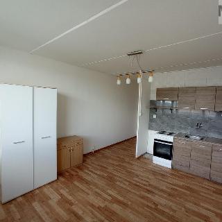 Prodej bytu 1+kk a garsoniéry 22 m² Most, U Věžových domů