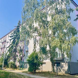 Prodej bytu 2+1 50 m² Jirkov, Ervěnická