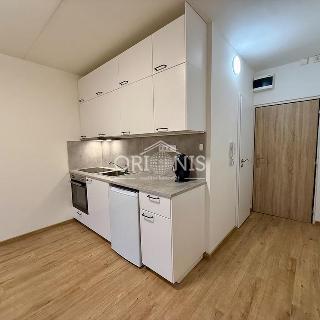 Pronájem bytu 1+kk a garsoniéry 21 m² Kadaň, Koželužská