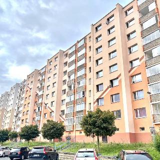 Prodej bytu 1+1 39 m² Jirkov, Na Borku