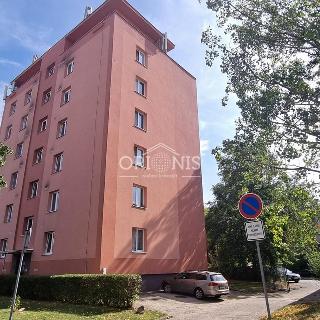 Prodej bytu 2+1 50 m² Chomutov, Čechova