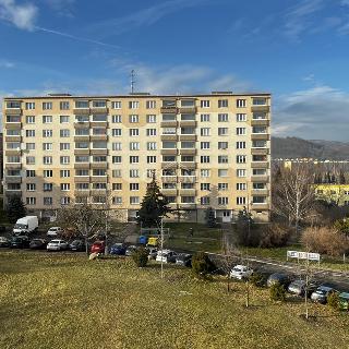 Prodej bytu 2+1 51 m² Chomutov, Pod Břízami