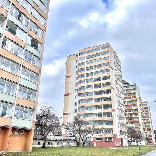 Prodej bytu 2+1 70 m² Most, U Věžových domů