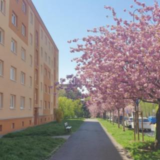 Prodej bytu 2+1 54 m² Most, Zdeňka Fibicha