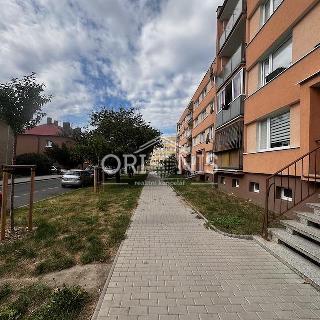 Pronájem bytu 2+1 60 m² Chomutov, Komenského