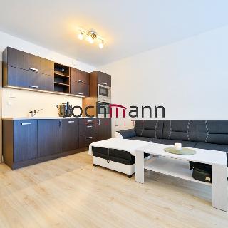 Pronájem bytu 1+kk a garsoniéry 33 m² České Budějovice, Jírovcova