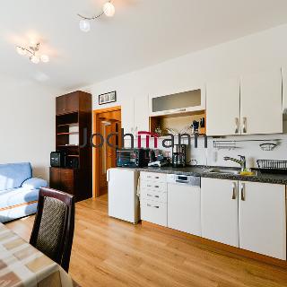 Pronájem bytu 1+kk a garsoniéry 24 m² České Budějovice, Branišovská