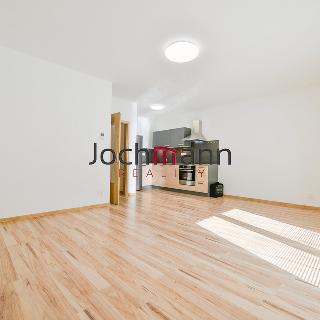 Pronájem bytu 1+kk a garsoniéry 37 m² Český Krumlov, Tichá