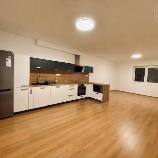 Pronájem bytu 3+kk 91 m² Velké Popovice, V parku