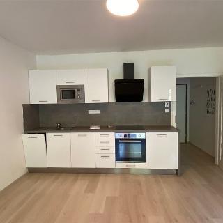 Pronájem bytu 1+kk a garsoniéry 36 m² Velké Popovice, V parku