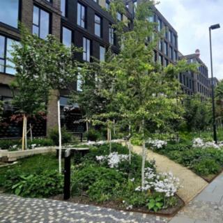 Pronájem kanceláře 273 m² Praha