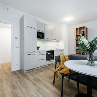 Pronájem bytu 2+kk 42 m² Praha, Odkolkova