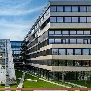 Pronájem kanceláře 250 m&sup2; Praha