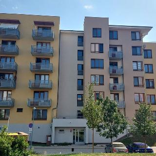 Pronájem bytu 1+kk a garsoniéry 46 m² Praha, Bermanova