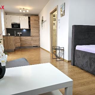 Pronájem bytu 1+kk a garsoniéry 36 m² Olomouc, 17. listopadu