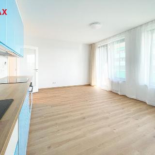 Pronájem bytu 1+kk a garsoniéry 32 m² Praha, Olgy Havlové