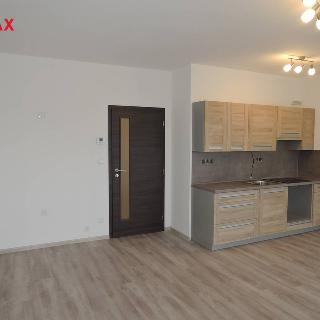 Pronájem bytu 1+kk a garsoniéry 39 m² Znojmo, K Náhonu