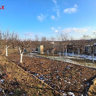 Prodej zahrady 491 m&sup2; Dyje