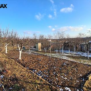 Prodej zahrady 491 m&sup2; Dyje