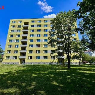 Prodej bytu 1+1 31 m² Znojmo, Pražská