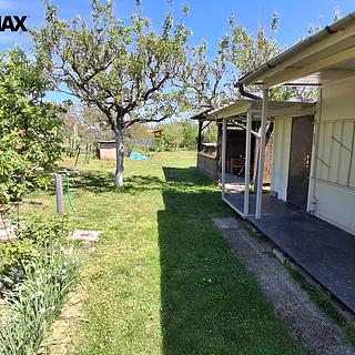 Prodej zahrady 579 m&sup2; Dyje