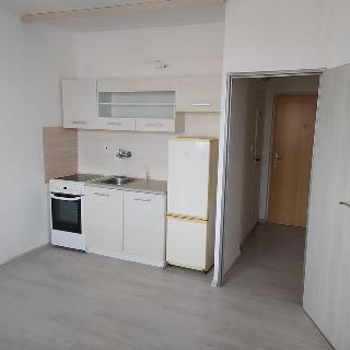 Pronájem bytu 2+kk 36 m² Stráž pod Ralskem, Máchova