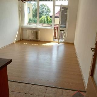 Pronájem bytu 1+kk a garsoniéry 29 m² Nový Bor, Svojsíkova