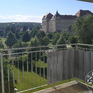 Pronájem bytu 1+1 50 m² Znojmo, Za Plovárnou