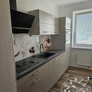 Pronájem bytu 1+1 50 m² Znojmo, Za Plovárnou