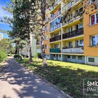 Prodej bytu 3+1 75 m² Kolín, Jateční