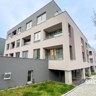 Pronájem bytu 2+kk 47 m² Kolín, 5. května