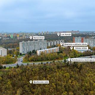 Prodej bytu 3+1 79 m² Praha, Mladenovova