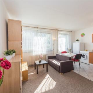 Pronájem bytu 1+kk a garsoniéry 30 m² Praha Hloubětín, Šestajovická