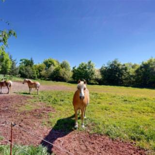 Prodej stavební parcely 8 403 m² Velké Albrechtice